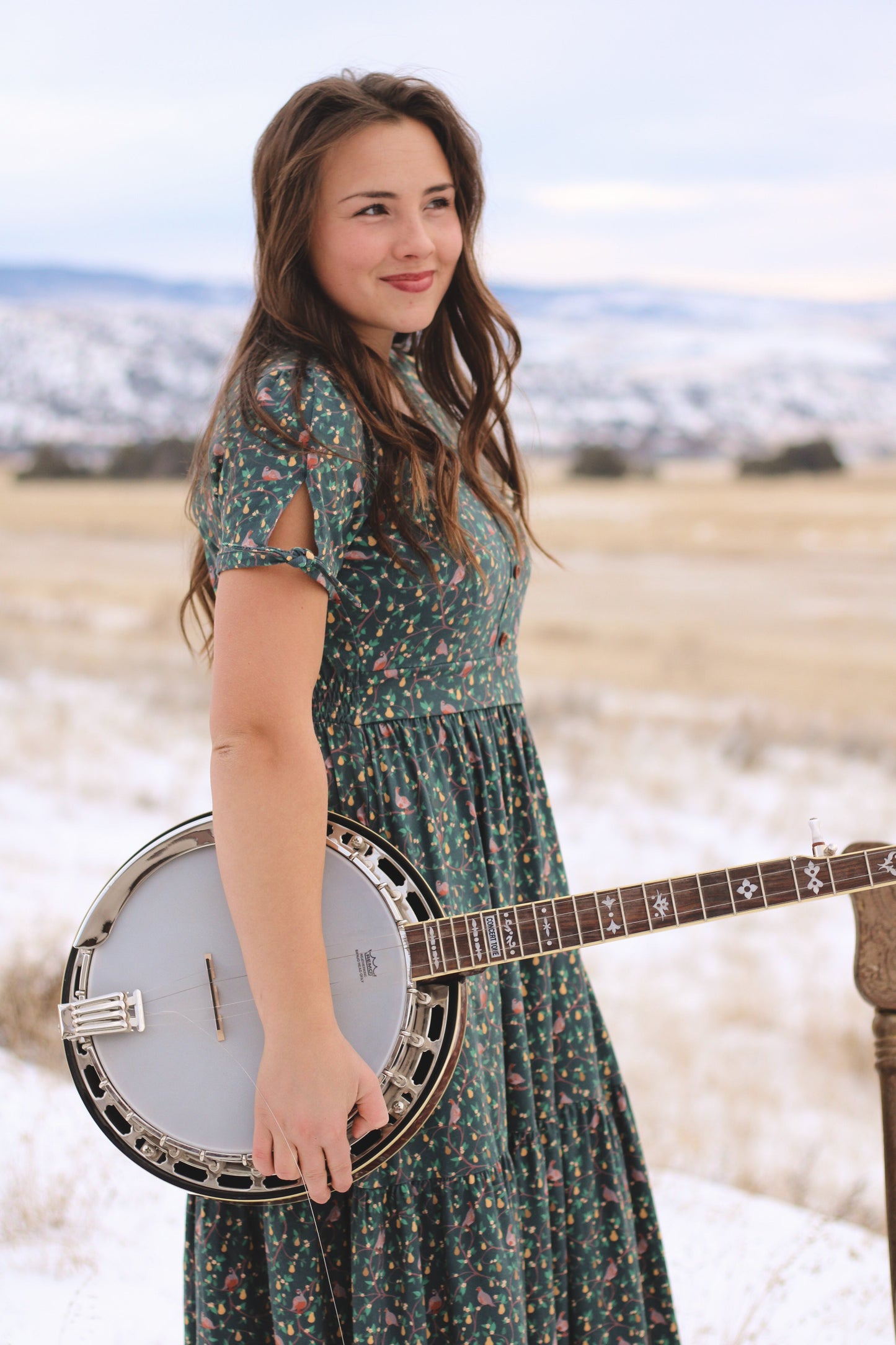 Pear Tree Lane ~ Hinterland Dress
