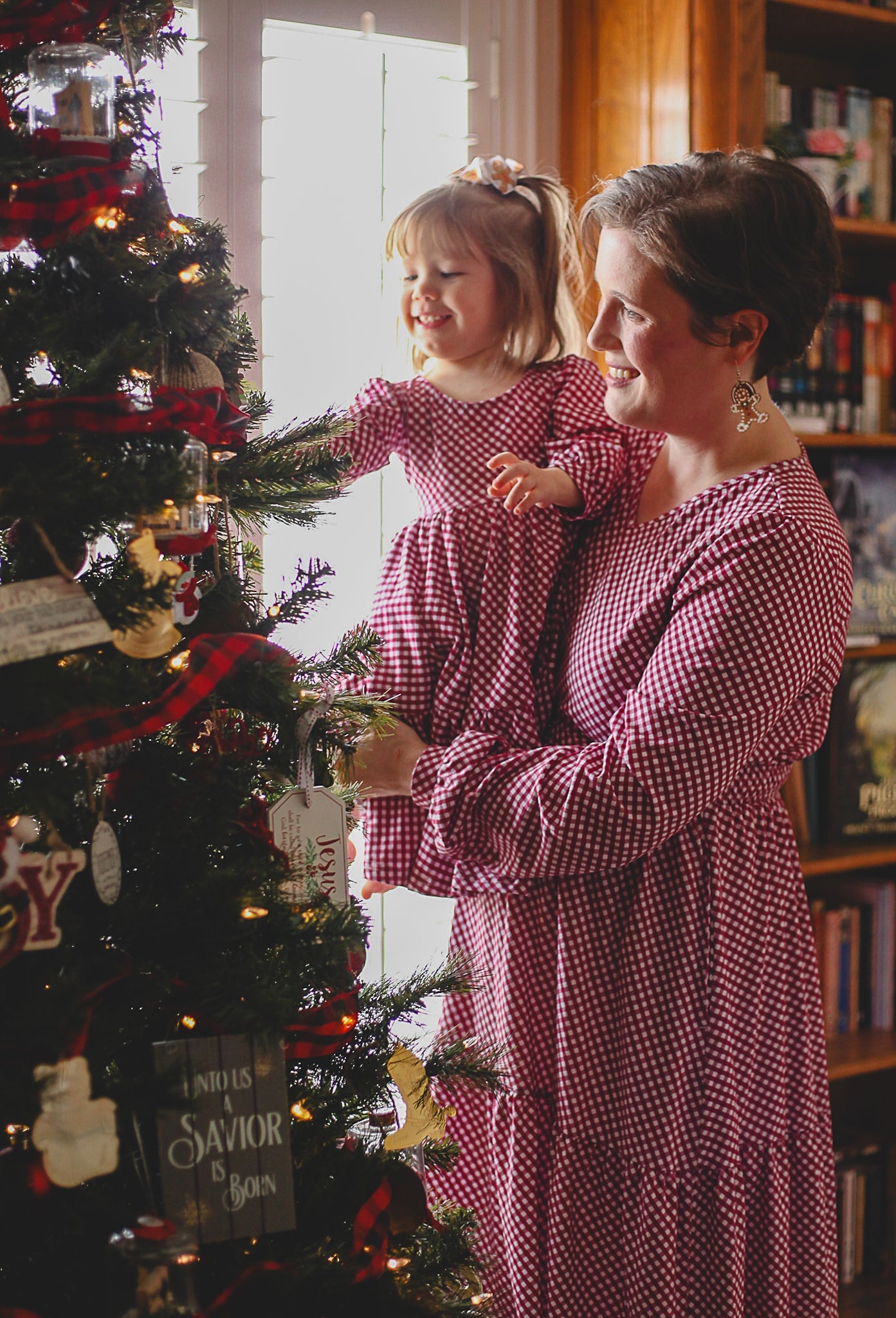 Cranberry Gingham ~ Storybook Dress