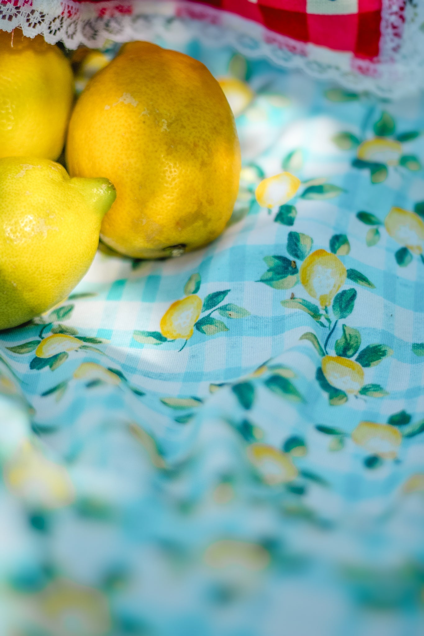 Little Lemon Gingham ~ Keepsake Midi