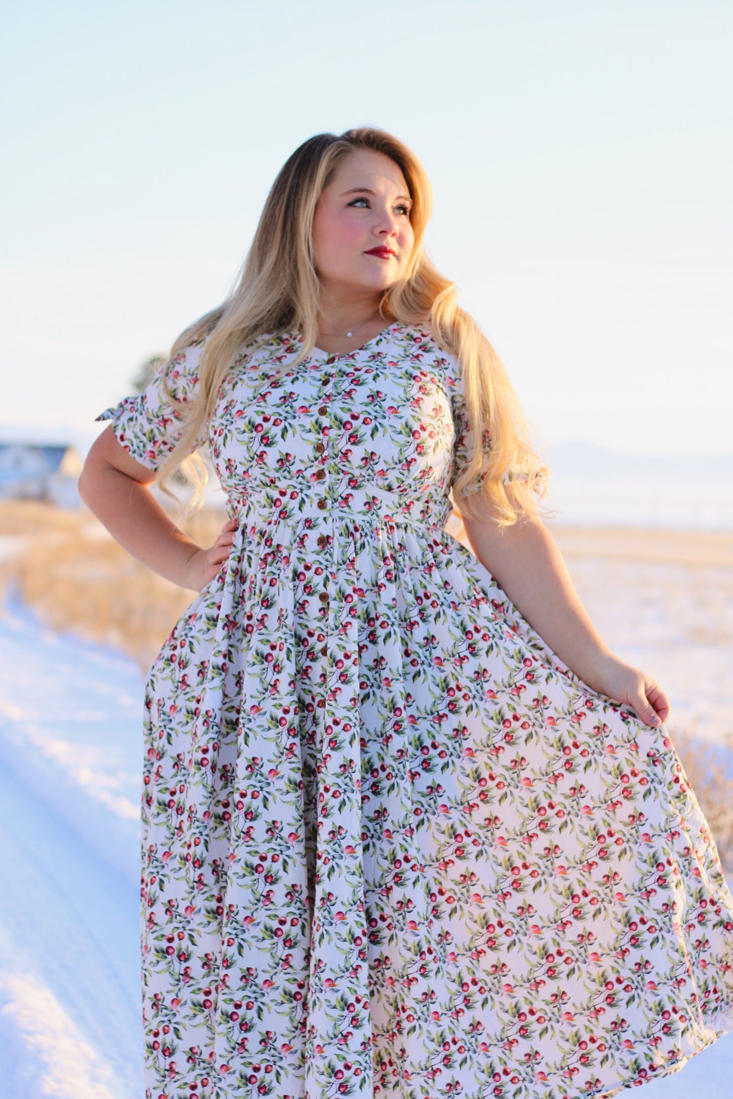 Antique Apples ~ Hearthside Dress