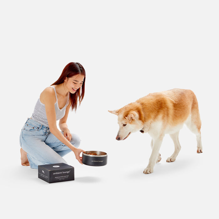2L Double-Wall Stainless Steel Food & Water Dog Bowl