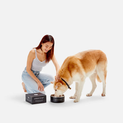 2L Double-Wall Stainless Steel Food & Water Dog Bowl