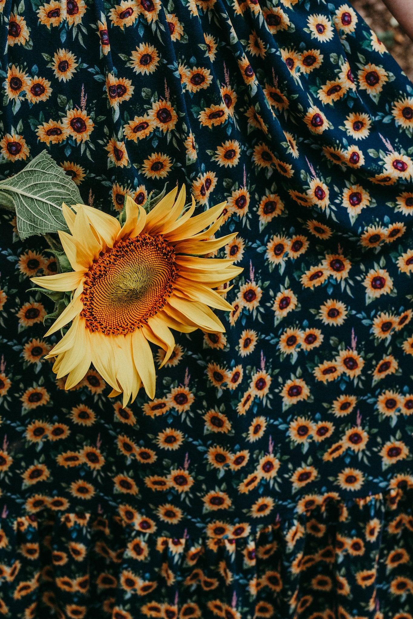 Prairie Sunflower ~ Amorette Dress