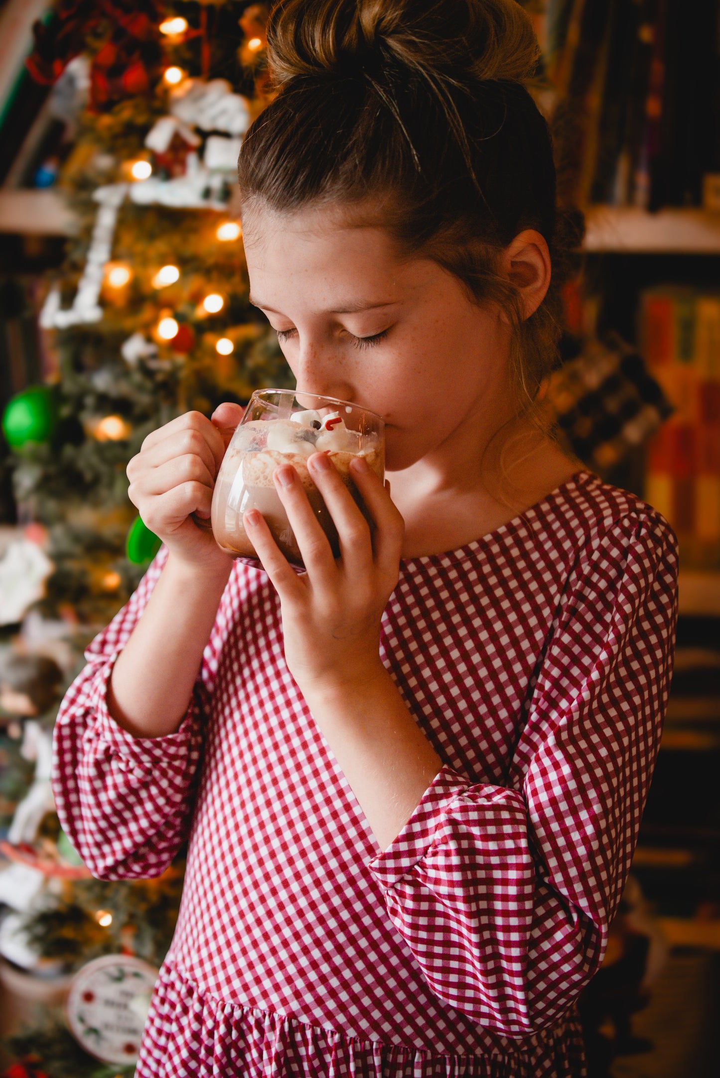Cranberry Gingham ~ Novella Dress