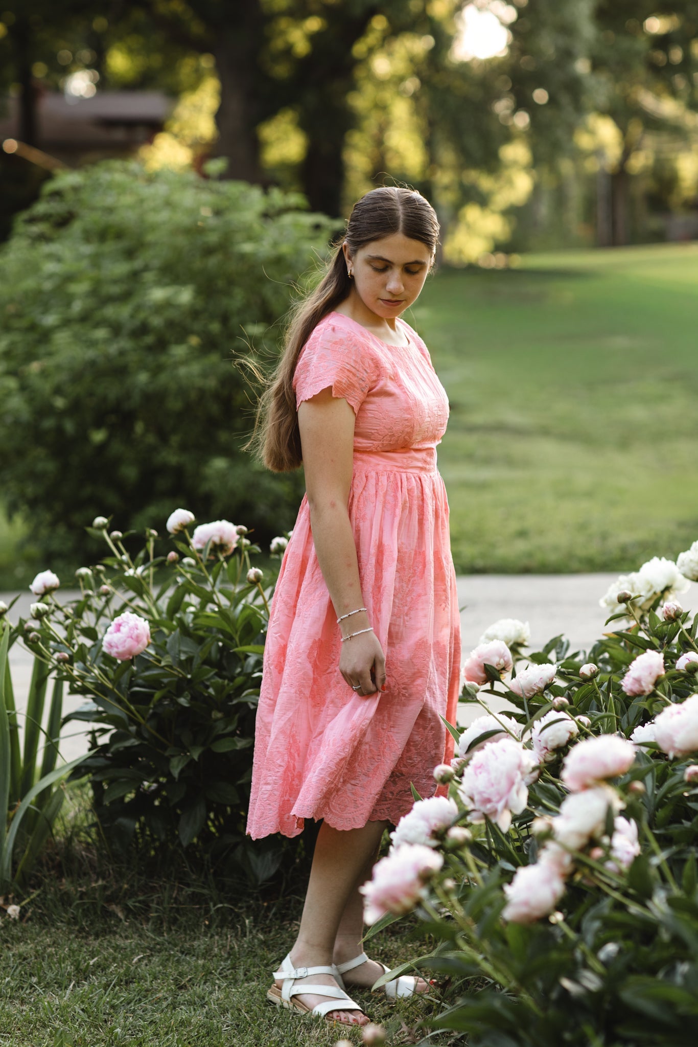 Apricity ~ Everine Dress