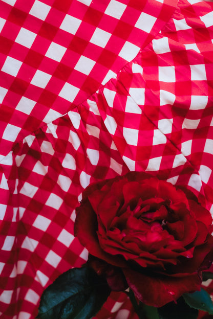 Grenadine Gingham ~ Lenora Dress