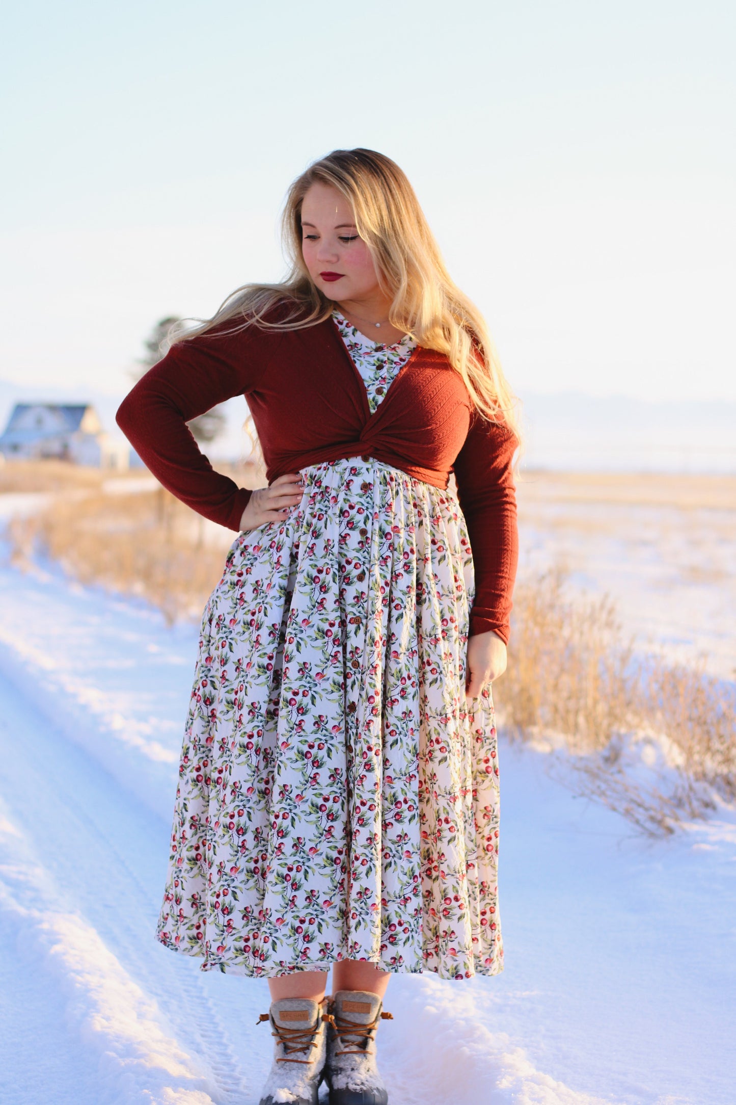 Antique Apples ~ Hearthside Dress