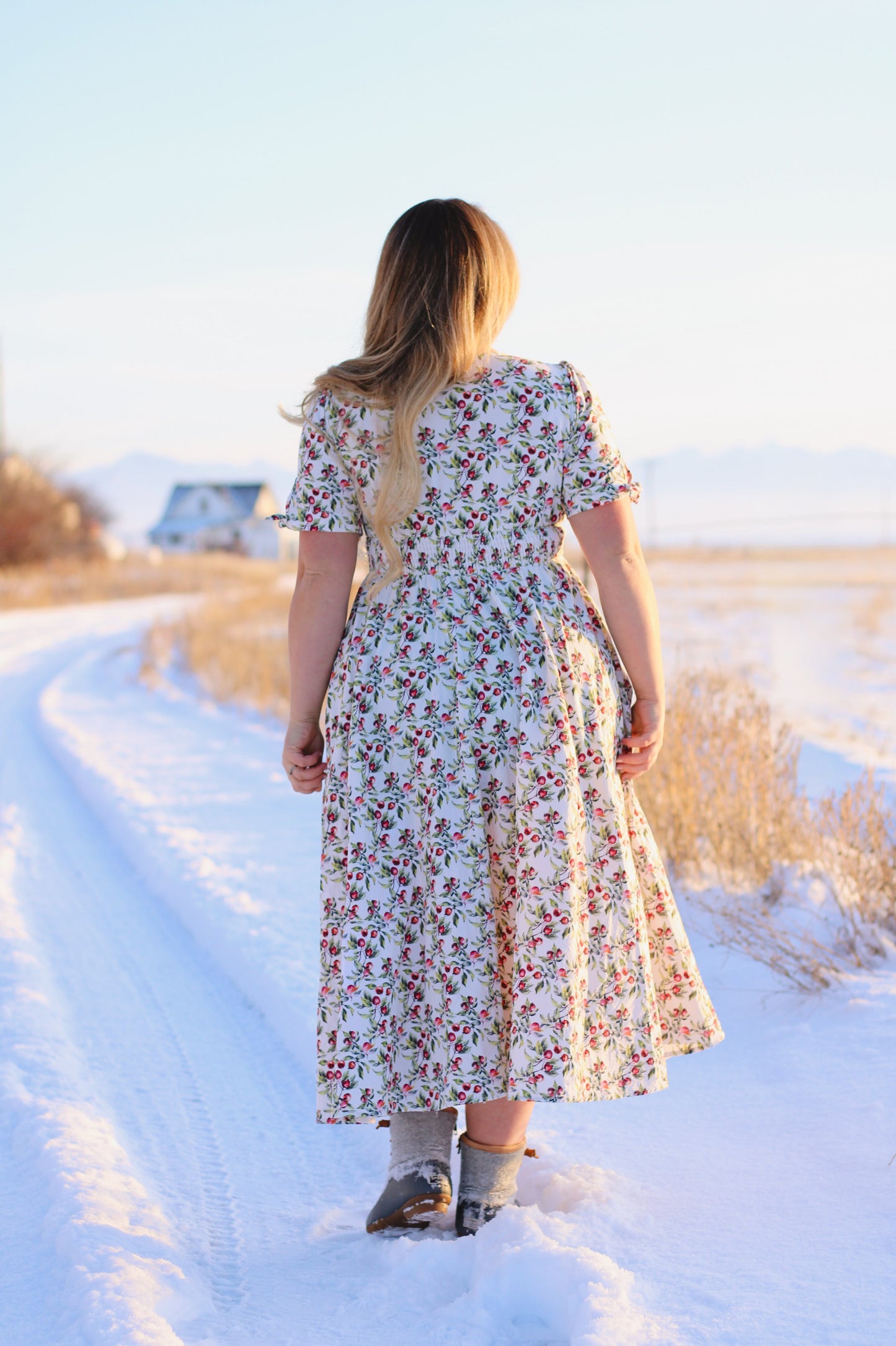 Antique Apples ~ Hearthside Dress