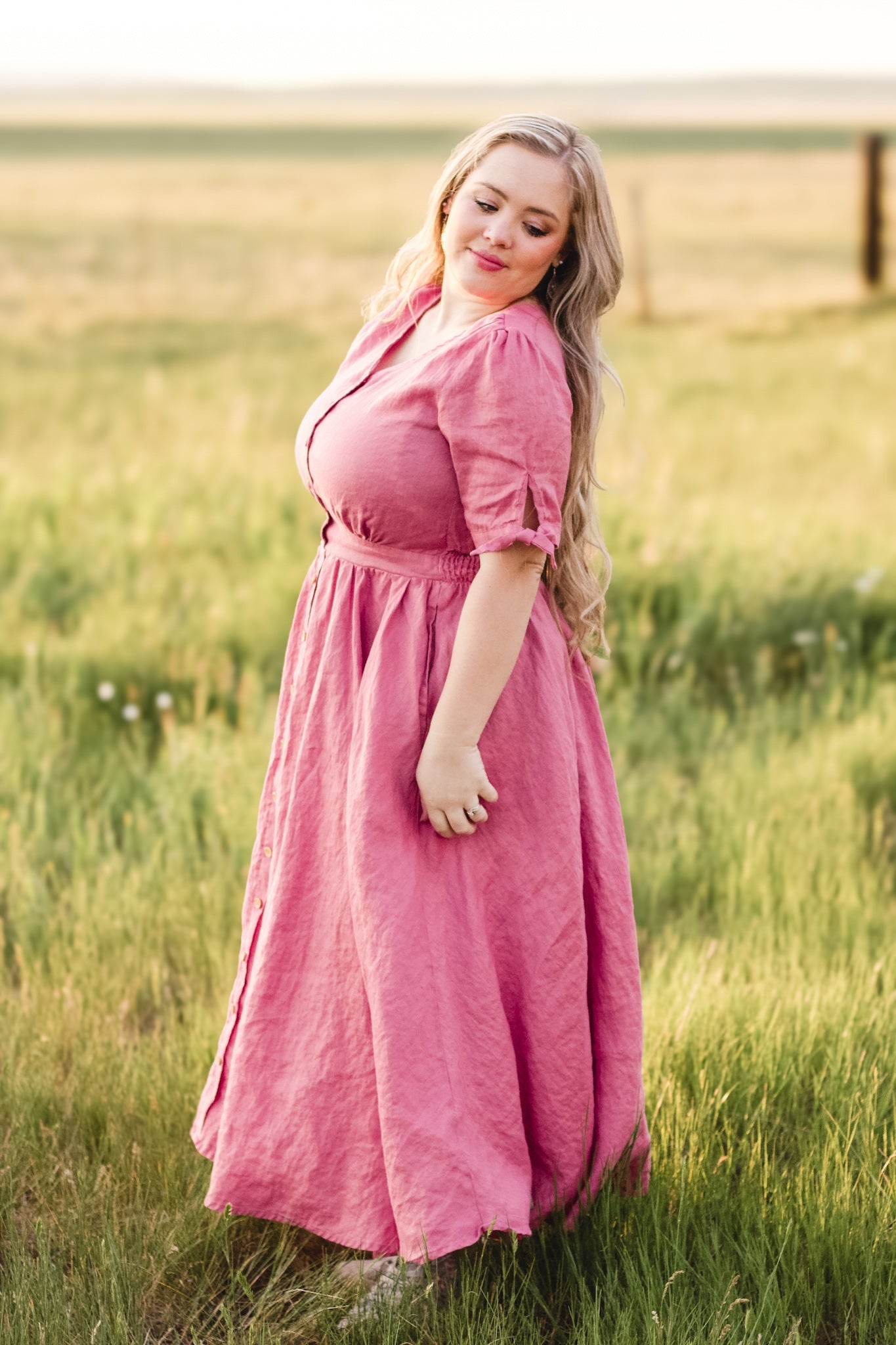 Briar Rose ~ Hearthside Dress