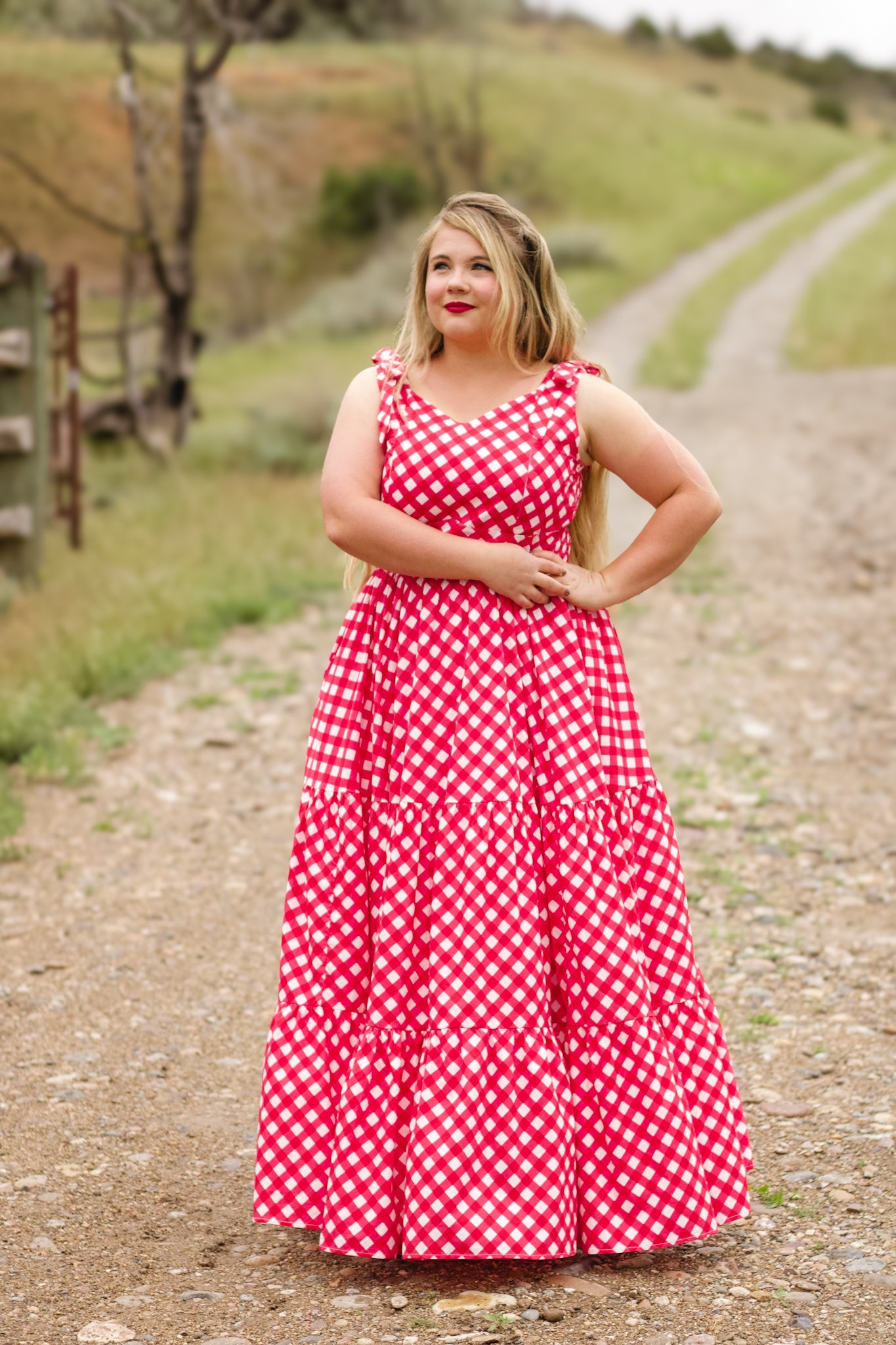 Grenadine Gingham ~ Lenora Dress