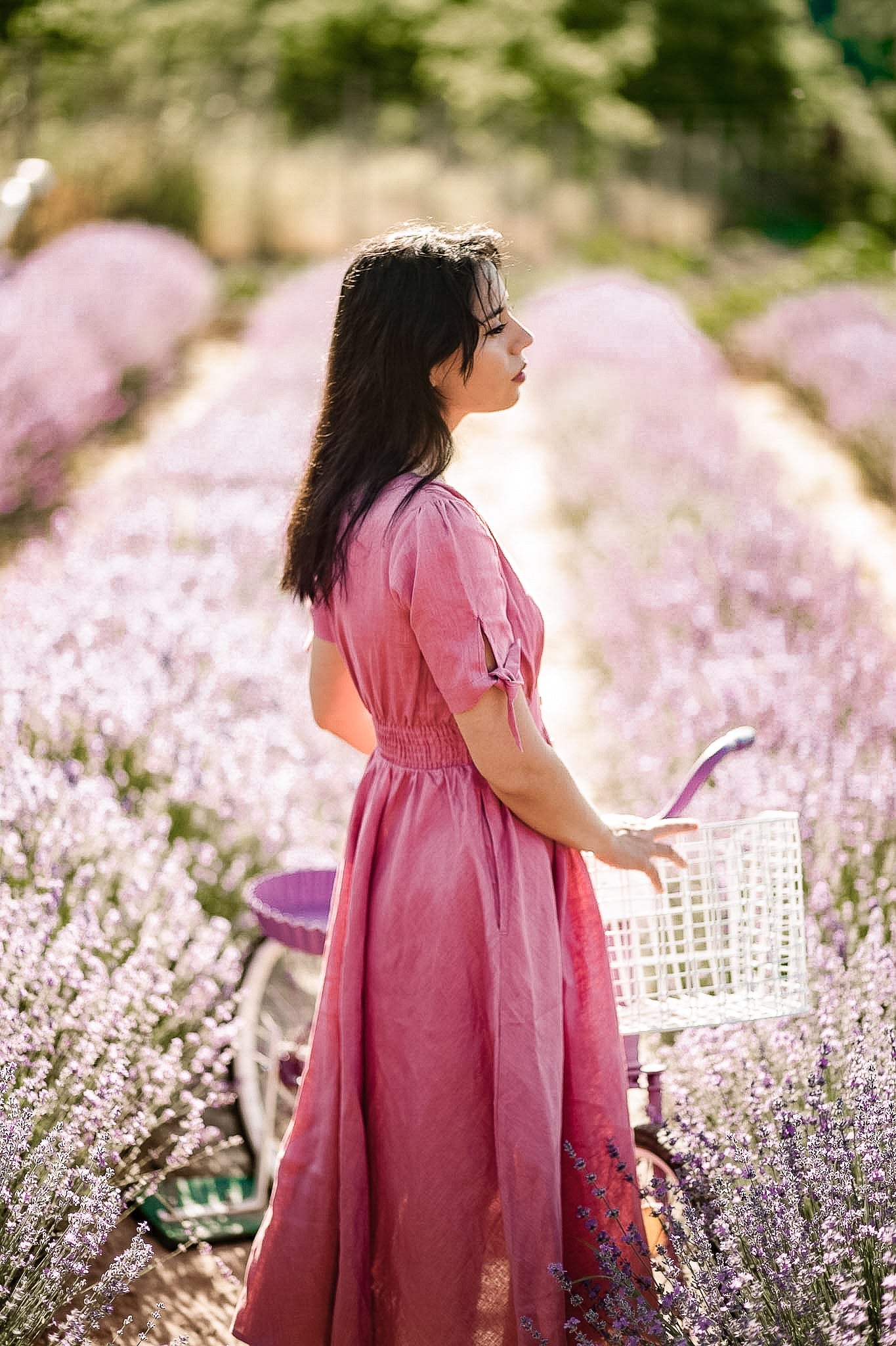 Briar Rose ~ Hearthside Dress