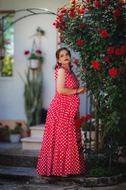 Grenadine Gingham ~ Lenora Dress