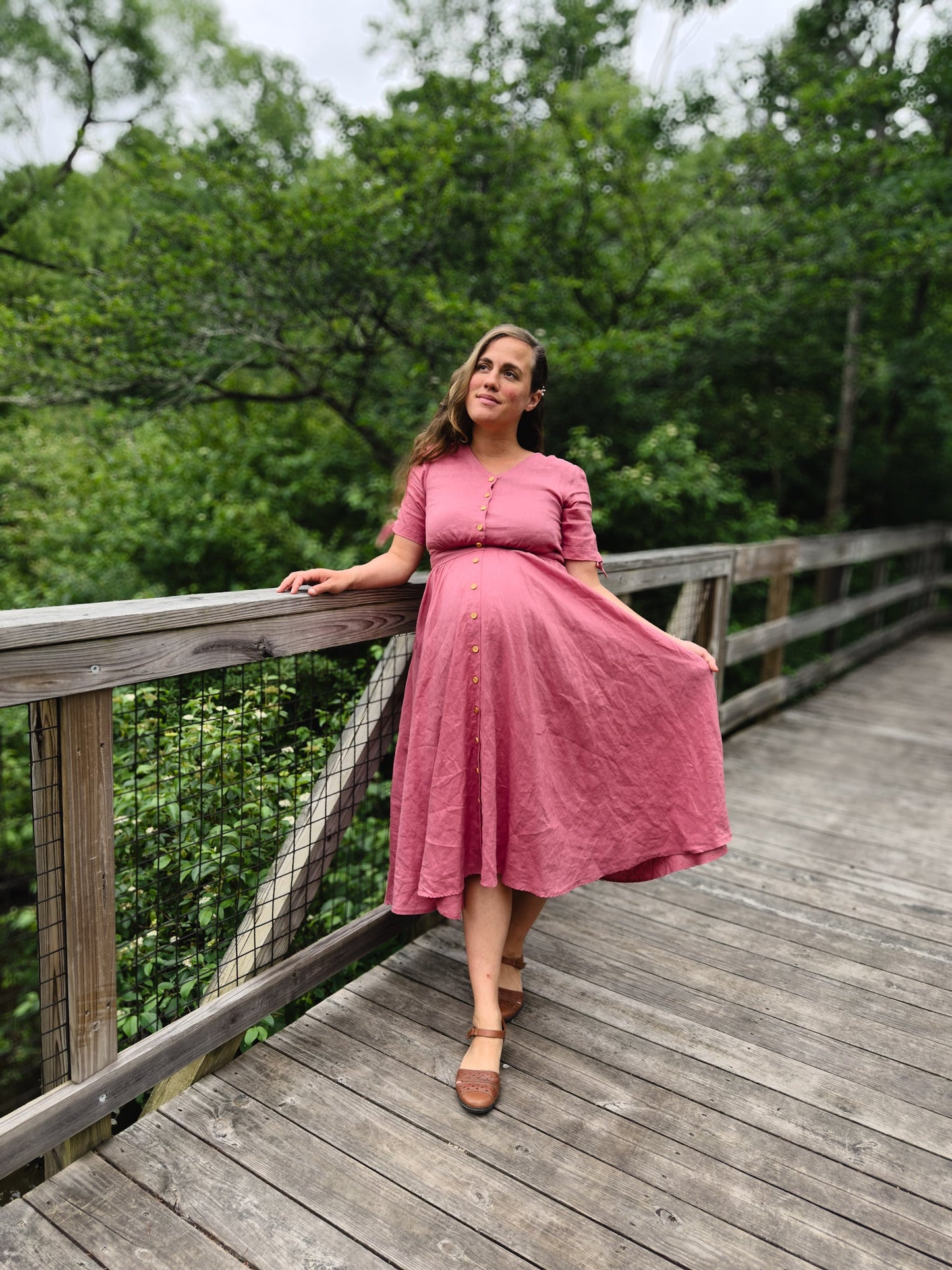 Briar Rose ~ Hearthside Dress