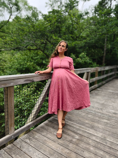 Briar Rose ~ Hearthside Dress