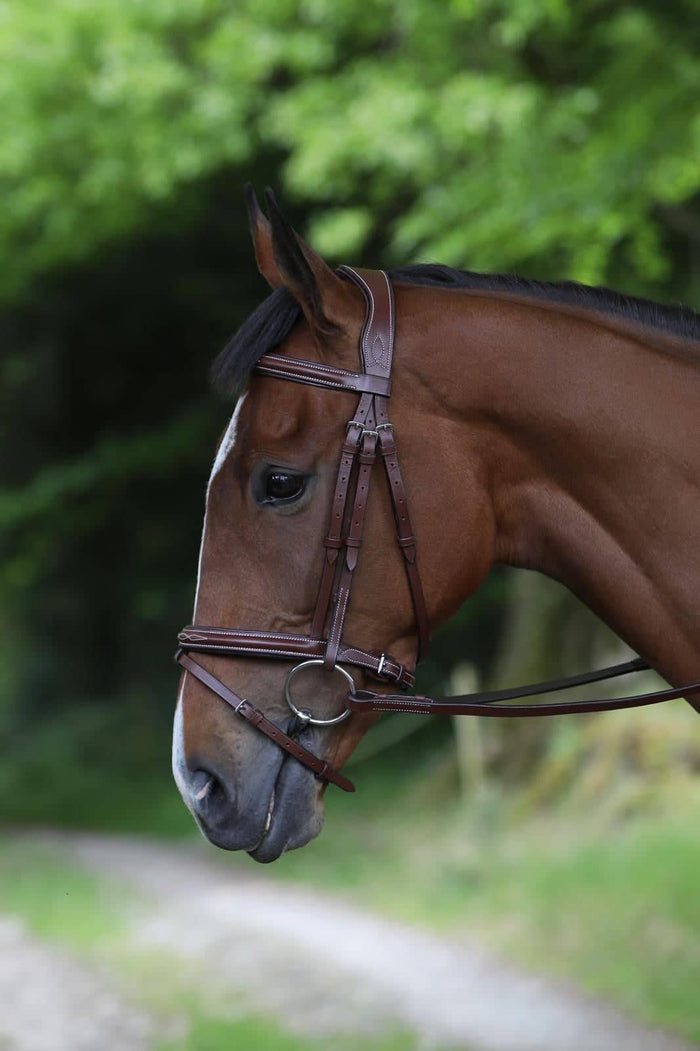 Celtic Equine Puissance Hickstead Bridle & Reins- Brown