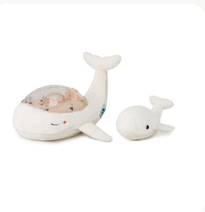 Cloud.b | Tranquil Family | Whale