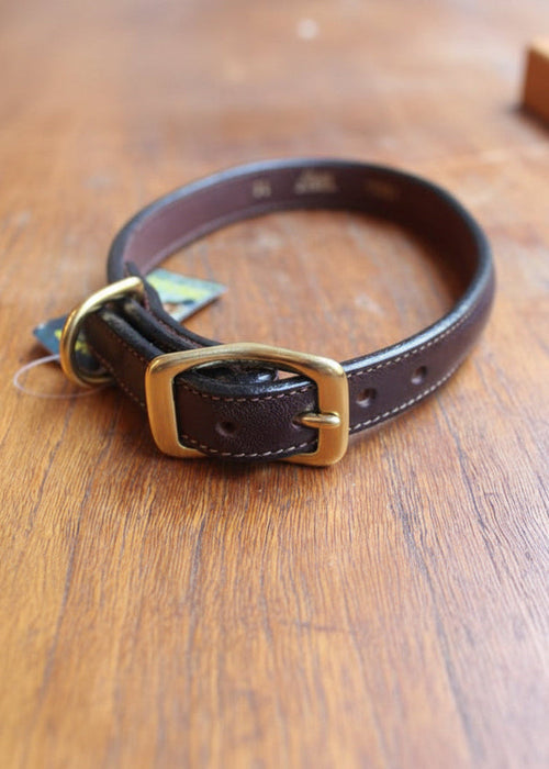 Dog Collar | Havanna