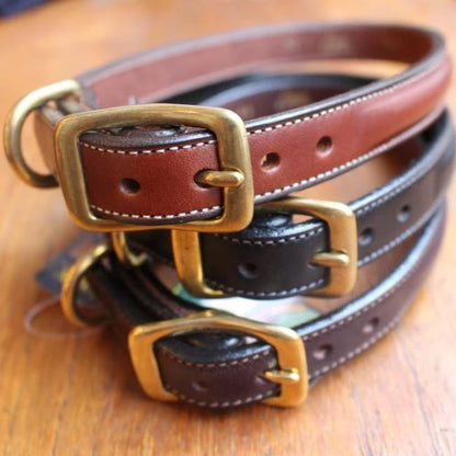 Dog Collar | Havanna