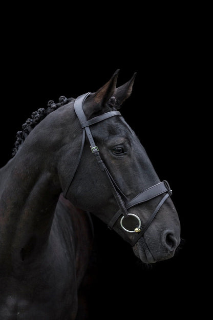 Eco Rider Classic Show Comfort Bridle