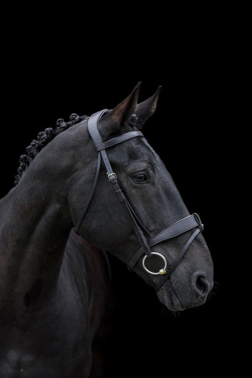 Eco Rider Classic Show Comfort Bridle