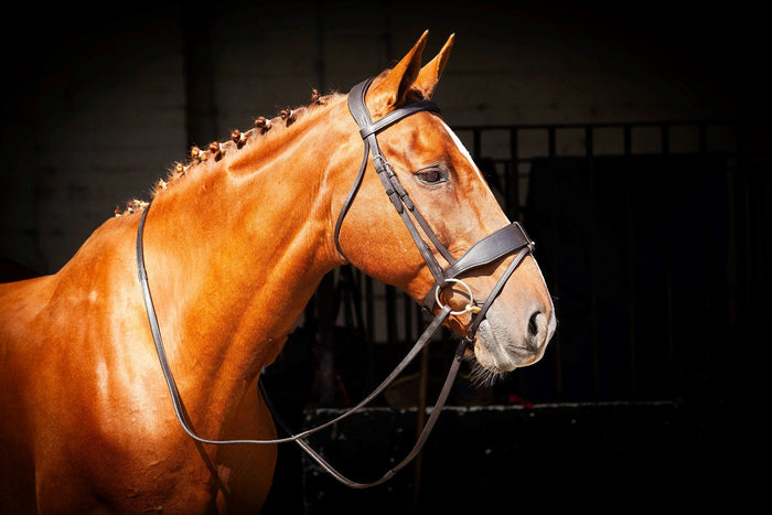 Eco Rider Classic Show Comfort Bridle