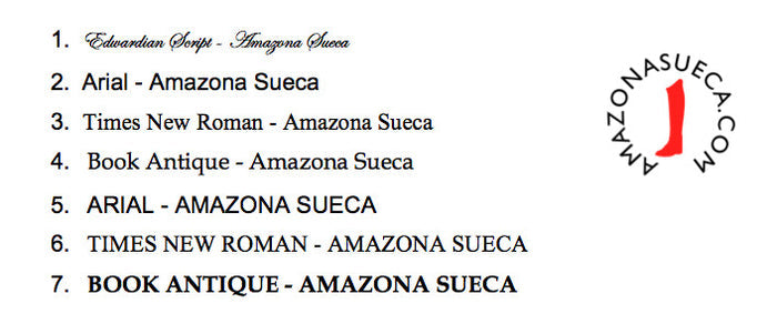 Engraved Name Plate for Accessories 9.5 x 63 mm