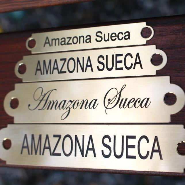 Engraved Name Plates For Saddles 9.5 x 63 mm