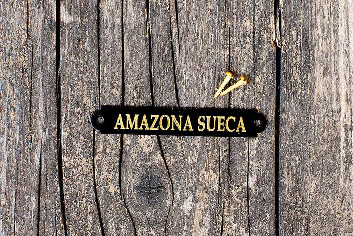 Engraved Name Plates For Saddles 9.5 x 63 mm