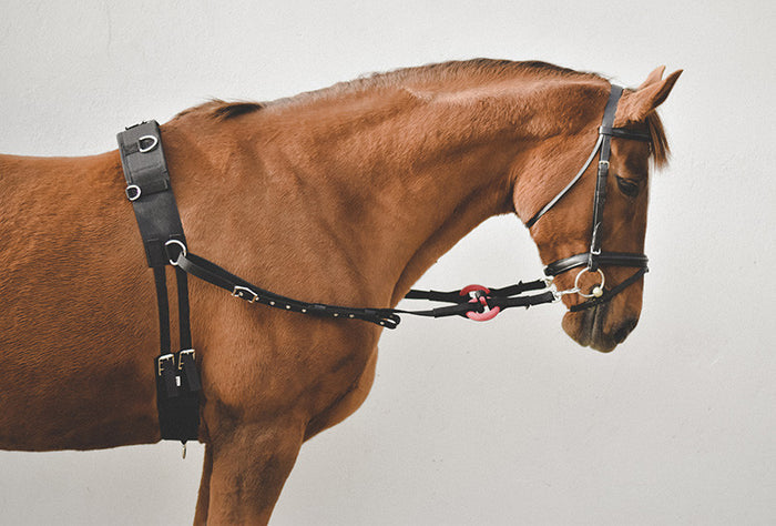 Equisential Nylon Side Reins- Black