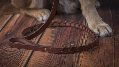 Laced Dog Collar | Oakbark