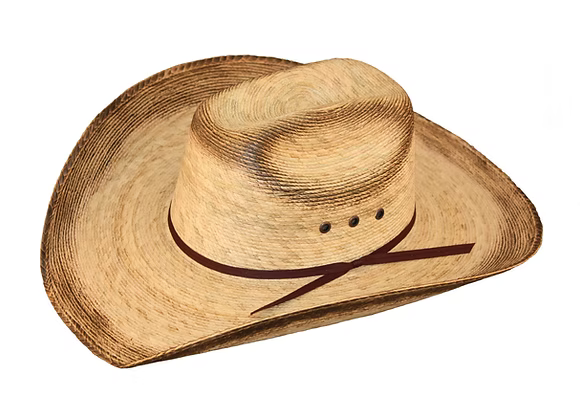 Lone Star Hat - Baylor