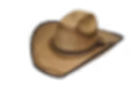 Lone Star Hat - Hank