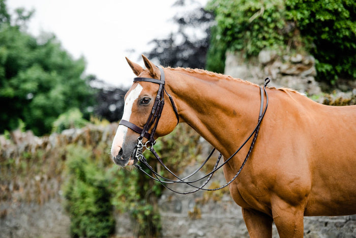 Mackey Classic Double Bridle