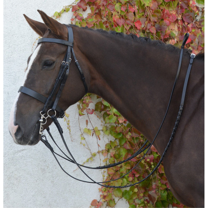 Mackey Classic Double Bridle