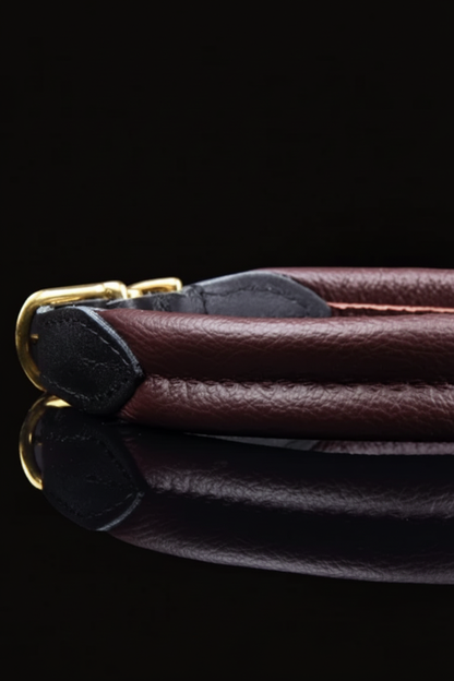 Padded Dog Collar Coffee Brown