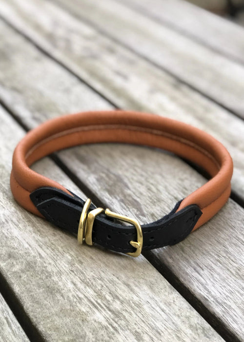 Padded Dog Collar Cognac
