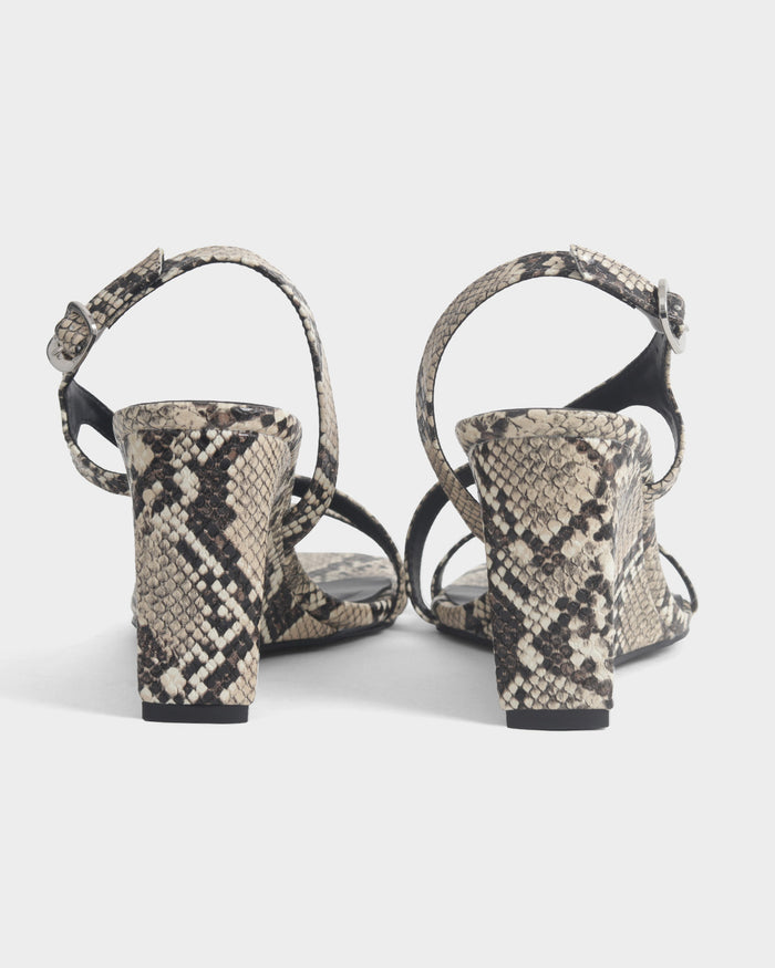 #color_brown-snake