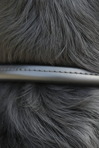 Rolled Dog Collar | Black