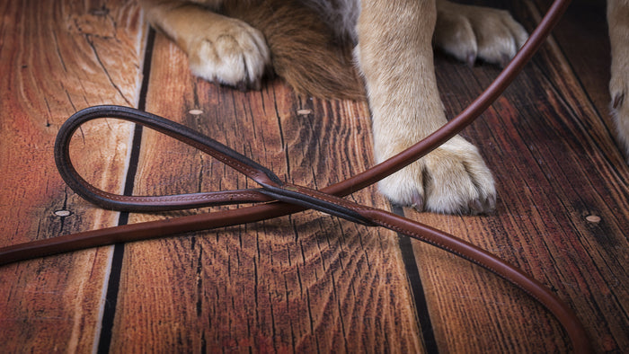 Rolled Dog Collar | Black