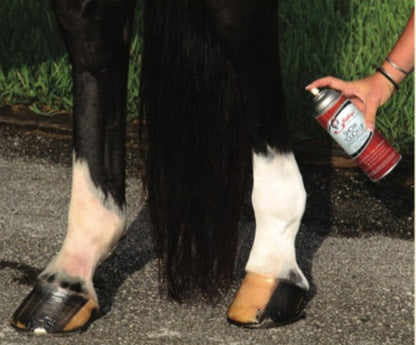 Shapley's Show Touch Up Colour Enhancer- White