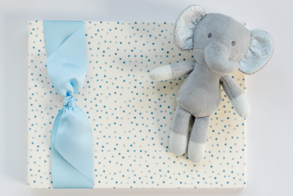 Tesserra | Baby Memory Book