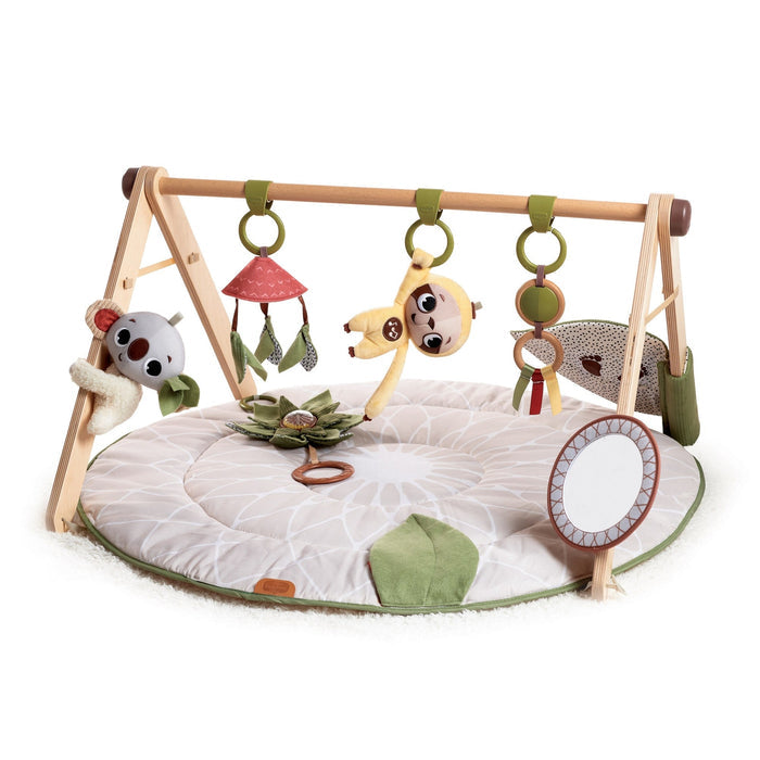 Tiny Love | Boho Chic Luxe Developmental Gymini