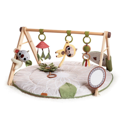 Tiny Love | Boho Chic Luxe Developmental Gymini