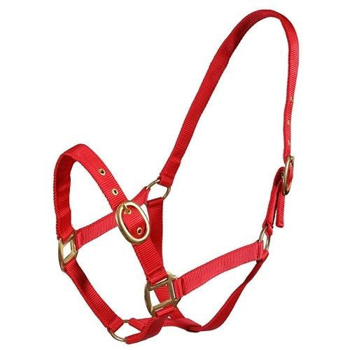 Turfmaster Nylon Headcollar- Various Colours